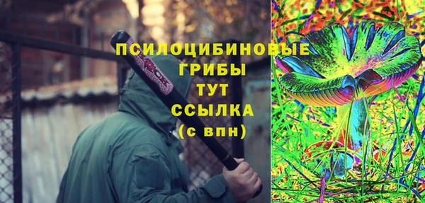 MESCALINE Верея